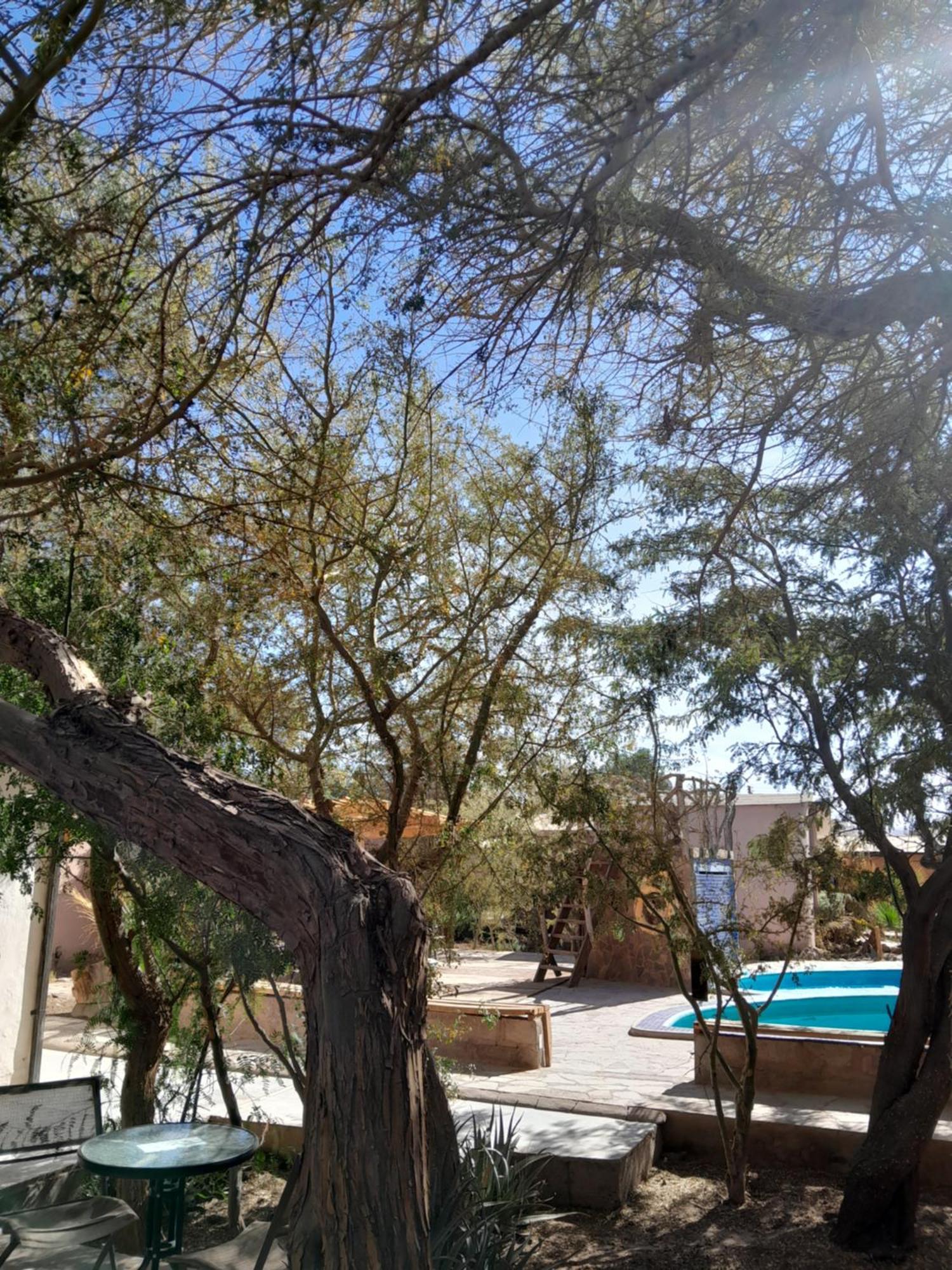 Hotel-Camping Takha Takha ซานเปโดร เด อาตากามา ภายนอก รูปภาพ